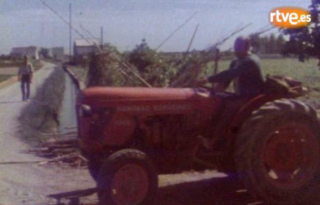 Informe Semanal - "La barraca", 80 años después