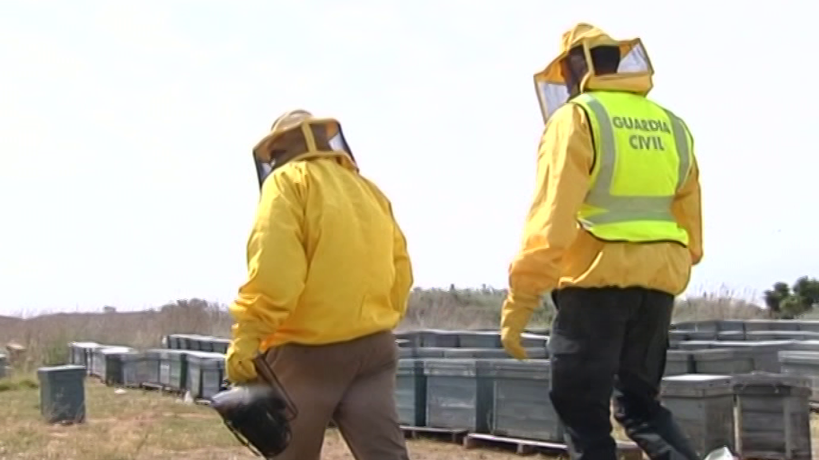 Agrosfera - 02/06/18 - ver ahora
