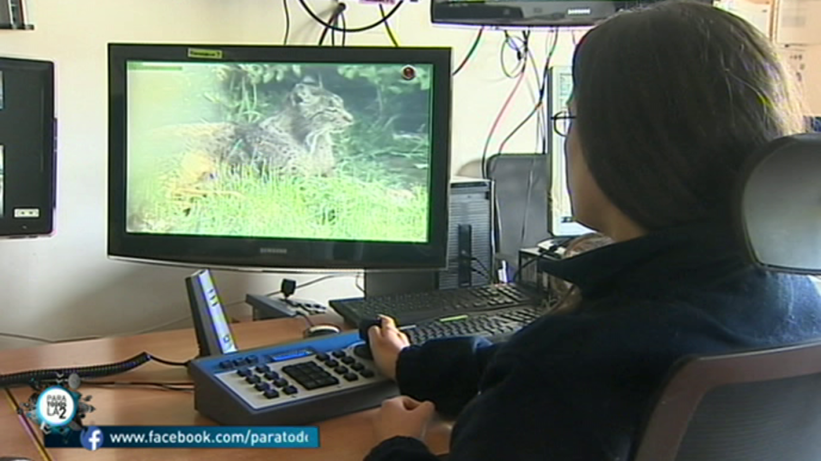 Para todos La 2 - 02/06/18 - ver ahora