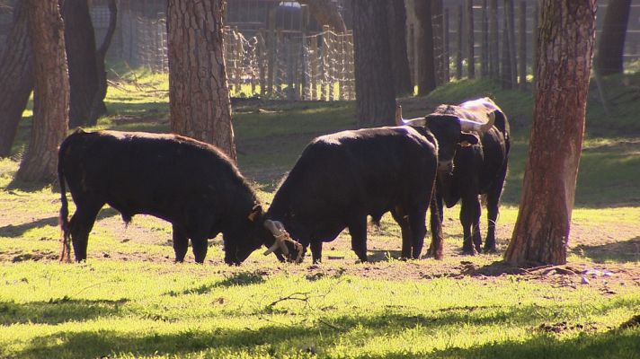 Tendido cero - Tendido Cero - 02/06/18