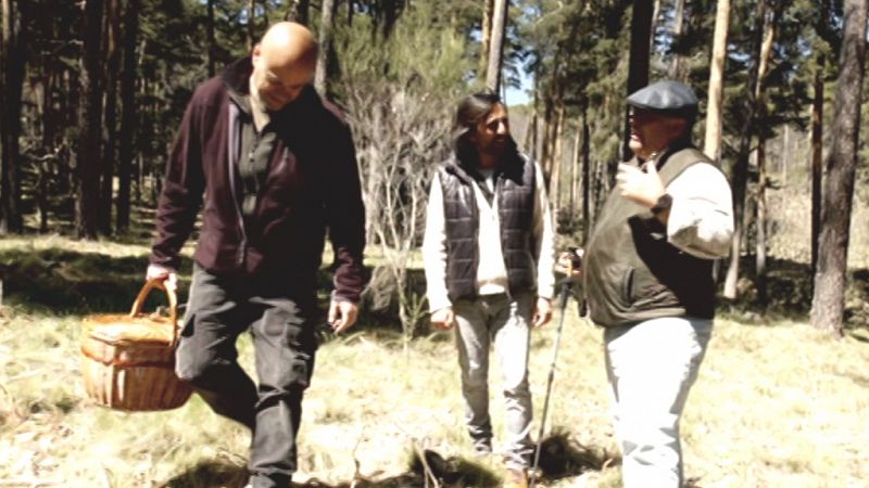 El señor de los bosques - Hoyocasero, Avila - ver ahora