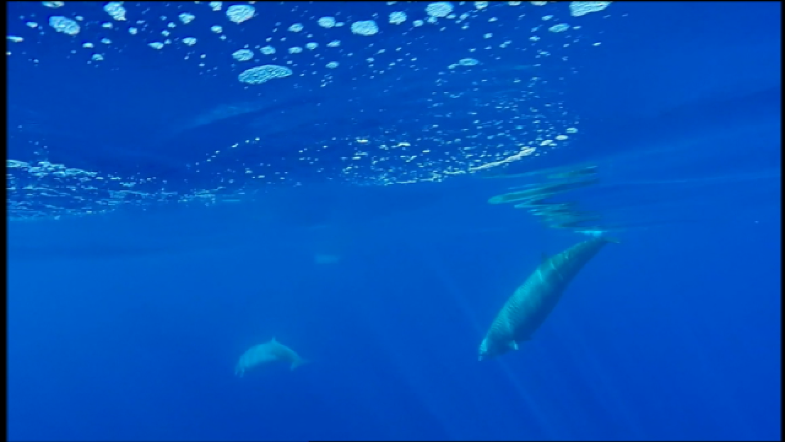 Telecanarias 2 - 01/06/2018