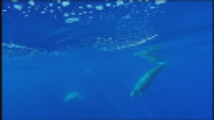 Telecanarias - Telecanarias 2 - 01/06/2018