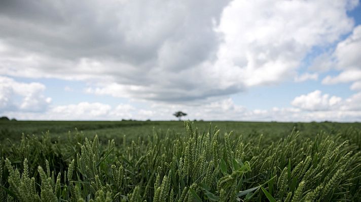 Informativo de Madrid - El Tiempo en la Comunidad de Madrid - 04/06/18