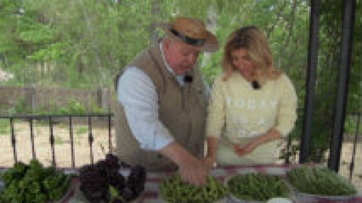 Plantamos guisantes y habas rosas