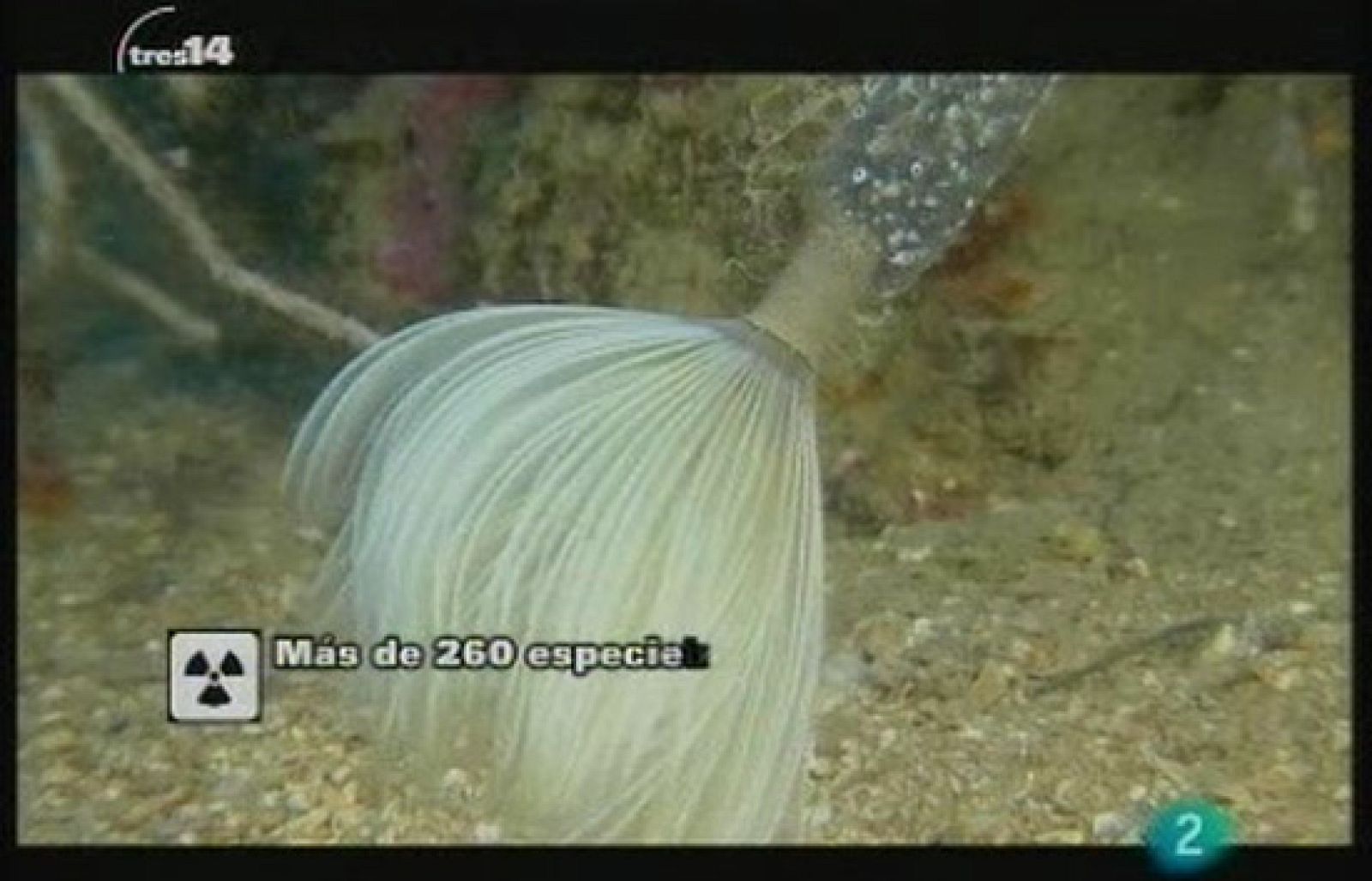 Basura a la deriva (Basuras)