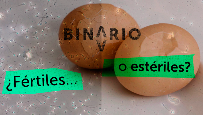 Binario - Binario- Así empieza 'Nacidos bajo la boina'