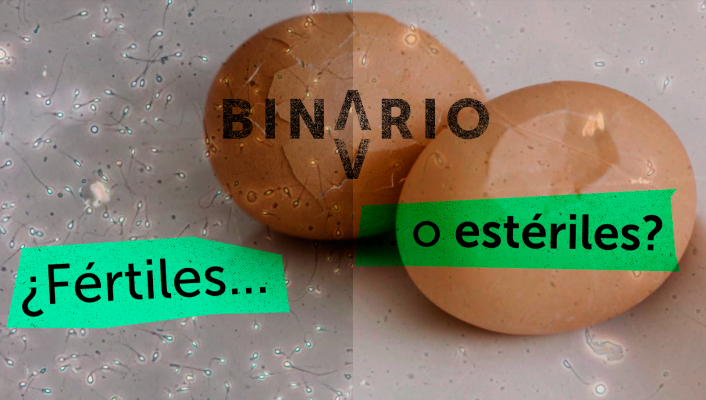 Binario- Así empieza 'Nacidos bajo la boina'