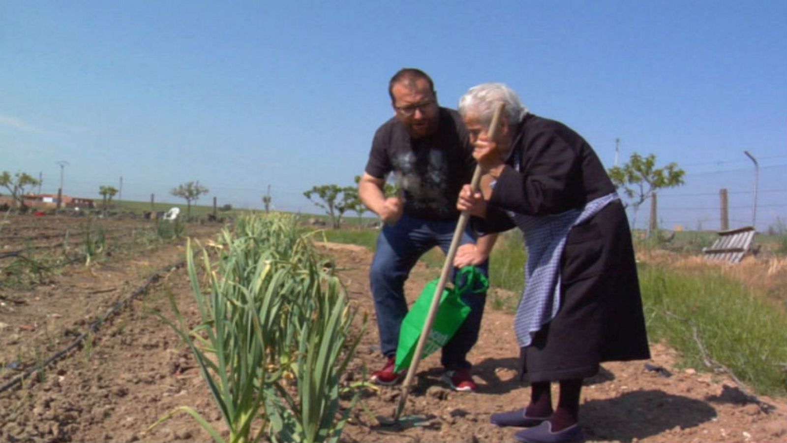 Luisa y los cardillos