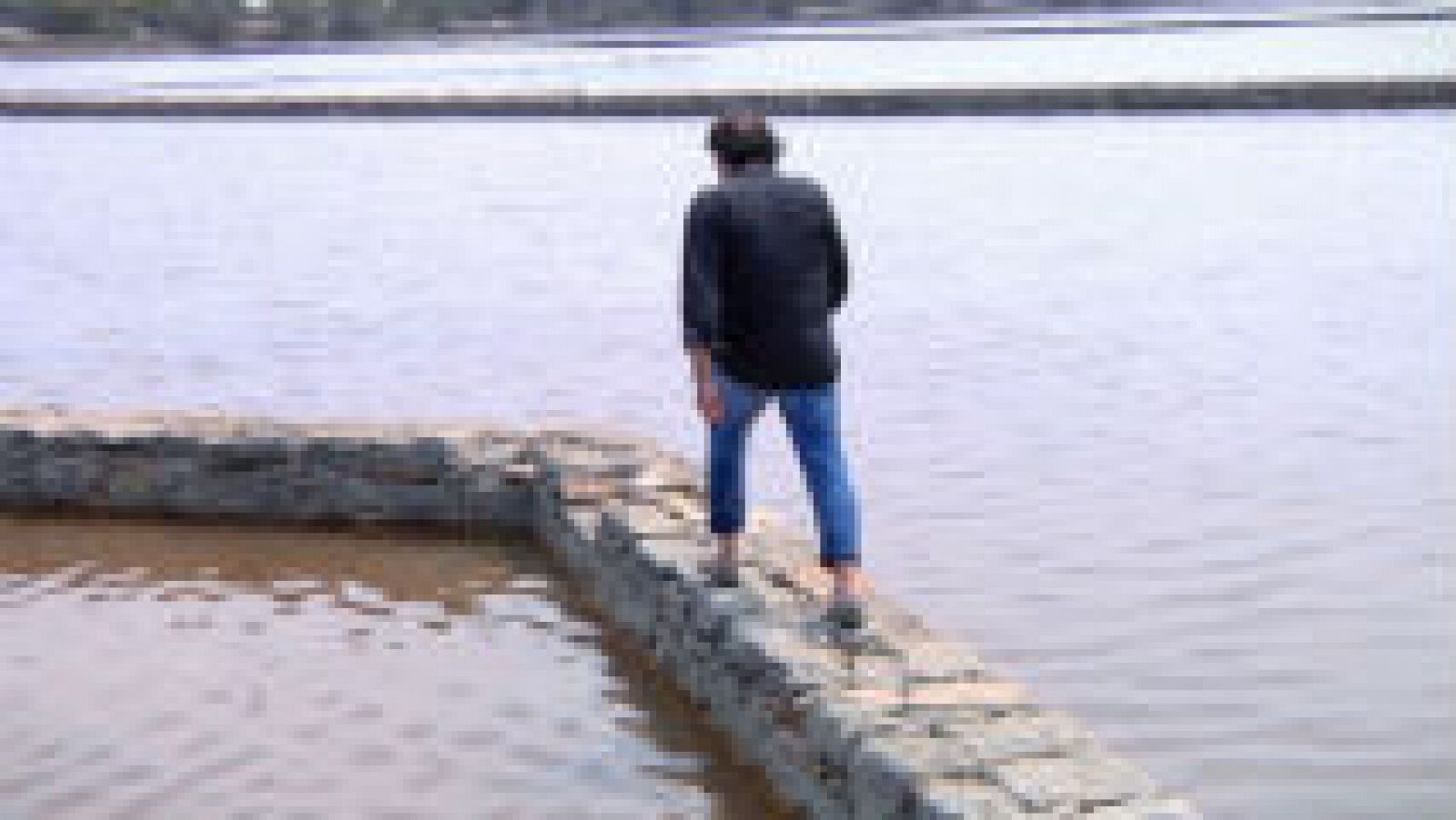 Aves de vacaciones en Formentera