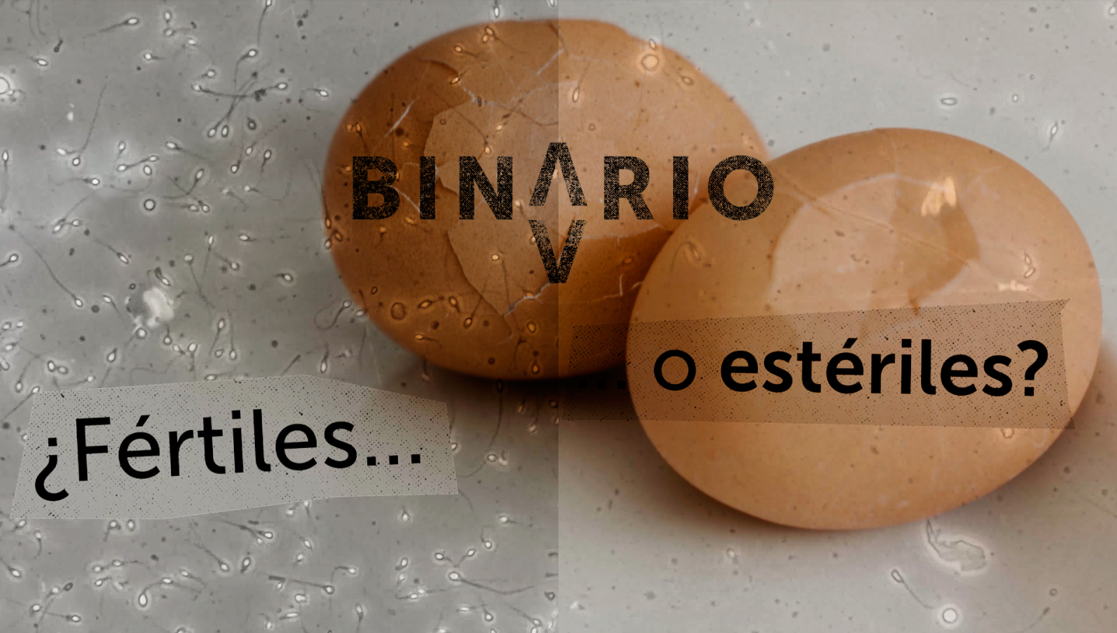 Binario - Capítulo 2. 'Nacidos bajo la boina' - Binario | Ver