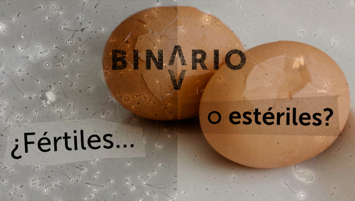 Binario - Binario - Capítulo 2. 'Nacidos bajo la boina'