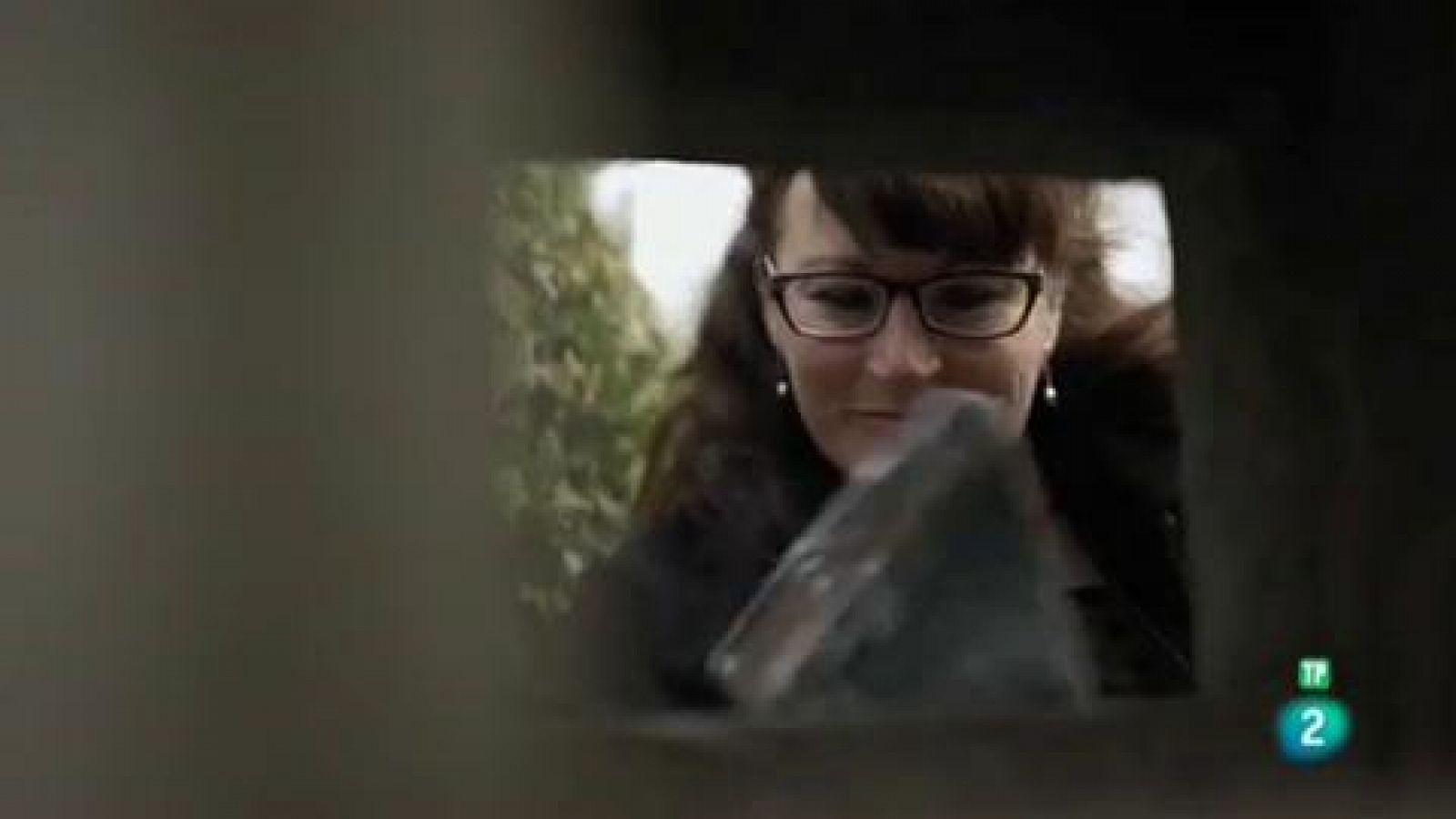 Página Dos - El reportaje - Cazadores de libros