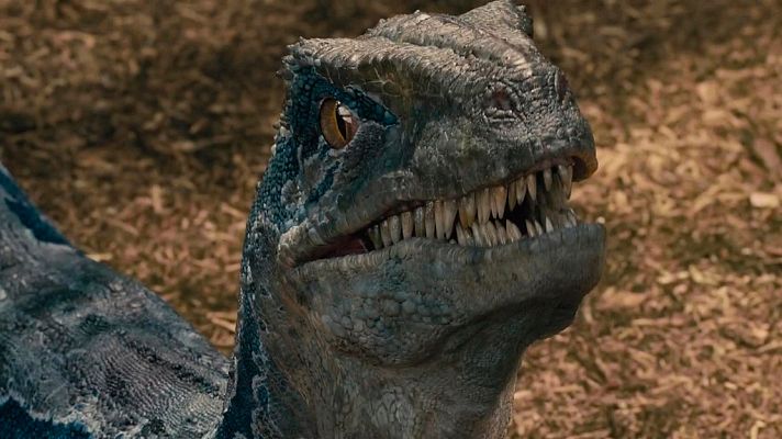 Días de cine - 'Jurassic World: el reino caído'