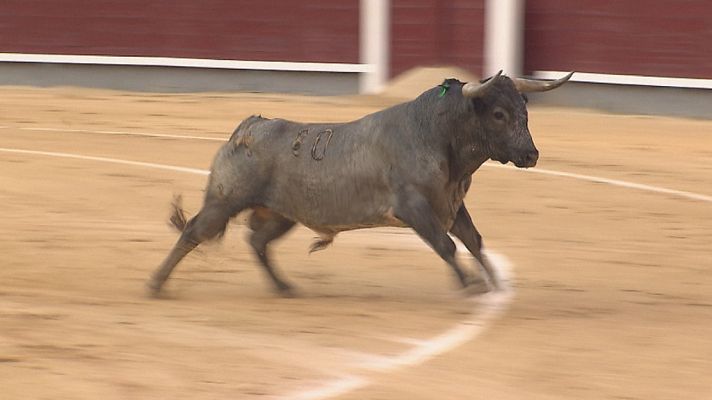 Tendido Cero - 09/06/18