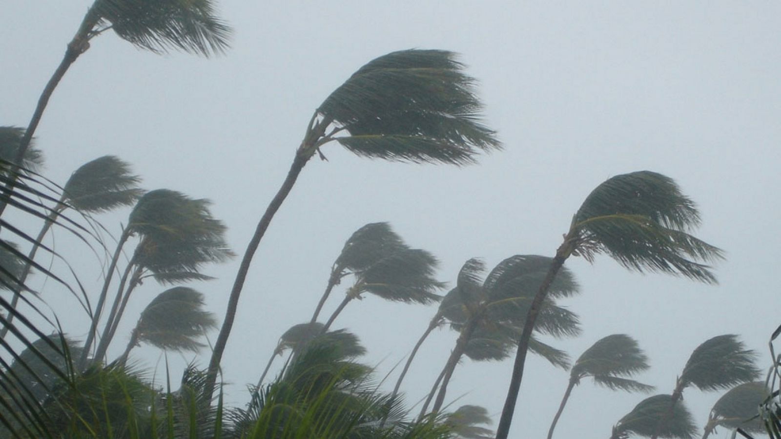 El tiempo: Persisten las tormentas en el este y norte con temperaturas a la baja | RTVE Play