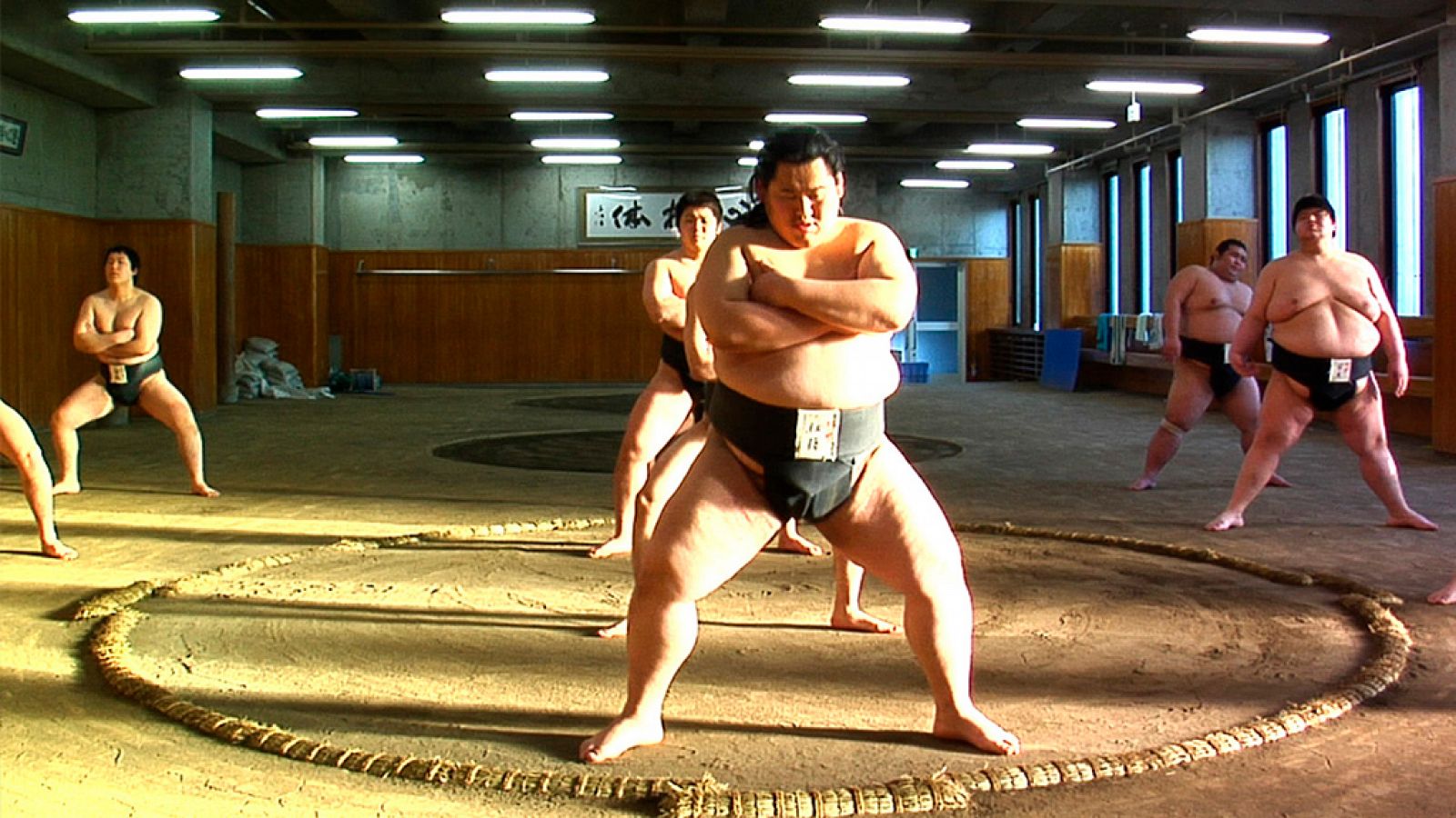 Documenta2 - Una vida normal. Crónica de un luchador de sumo  - RTVE.es