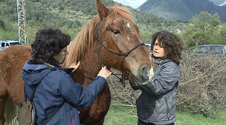 Natura és benestar - Avanç