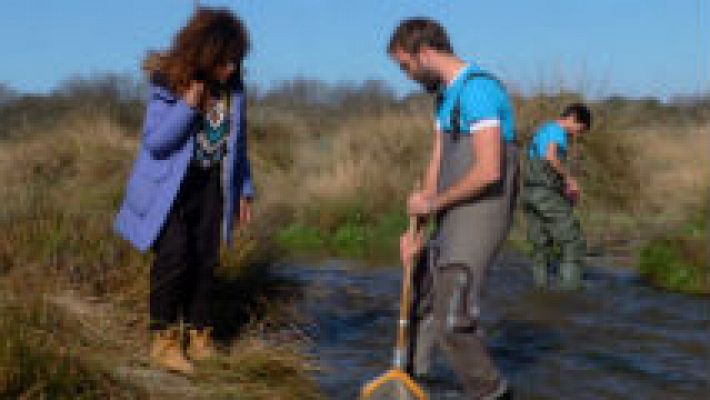 Los insectos nos hablan sobre la calidad del agua