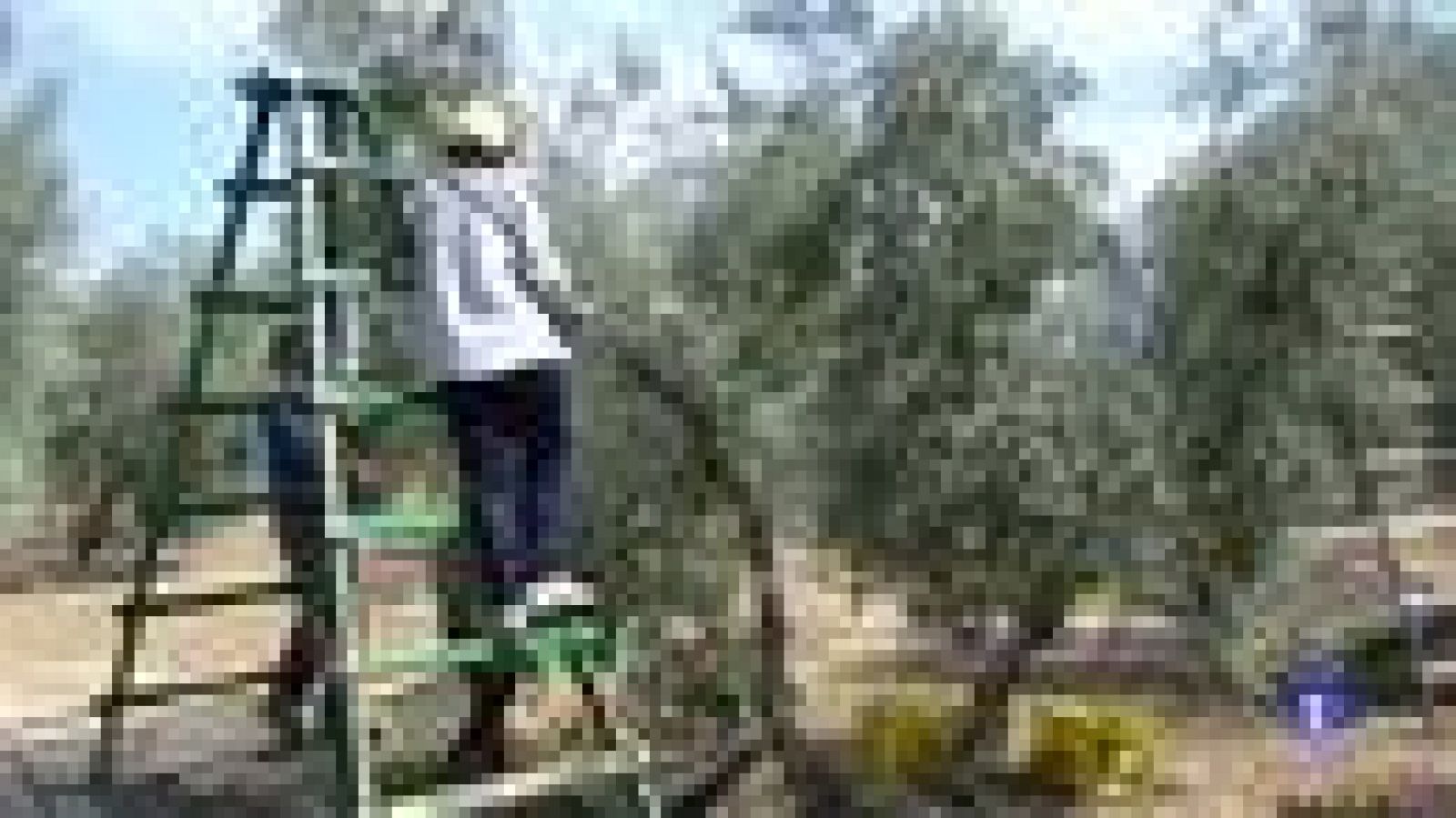 Andalucía en 2' - 13/06/2018 | Ver