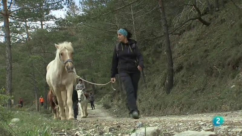 Natura és benestar - 13/06/2018