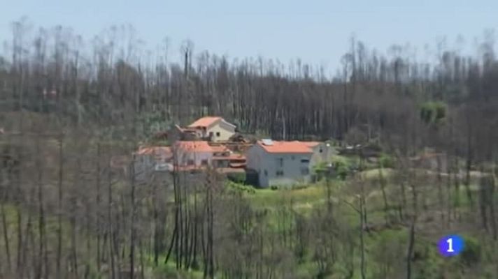 Telediario 1 - Un año del incendio de Pedrogao