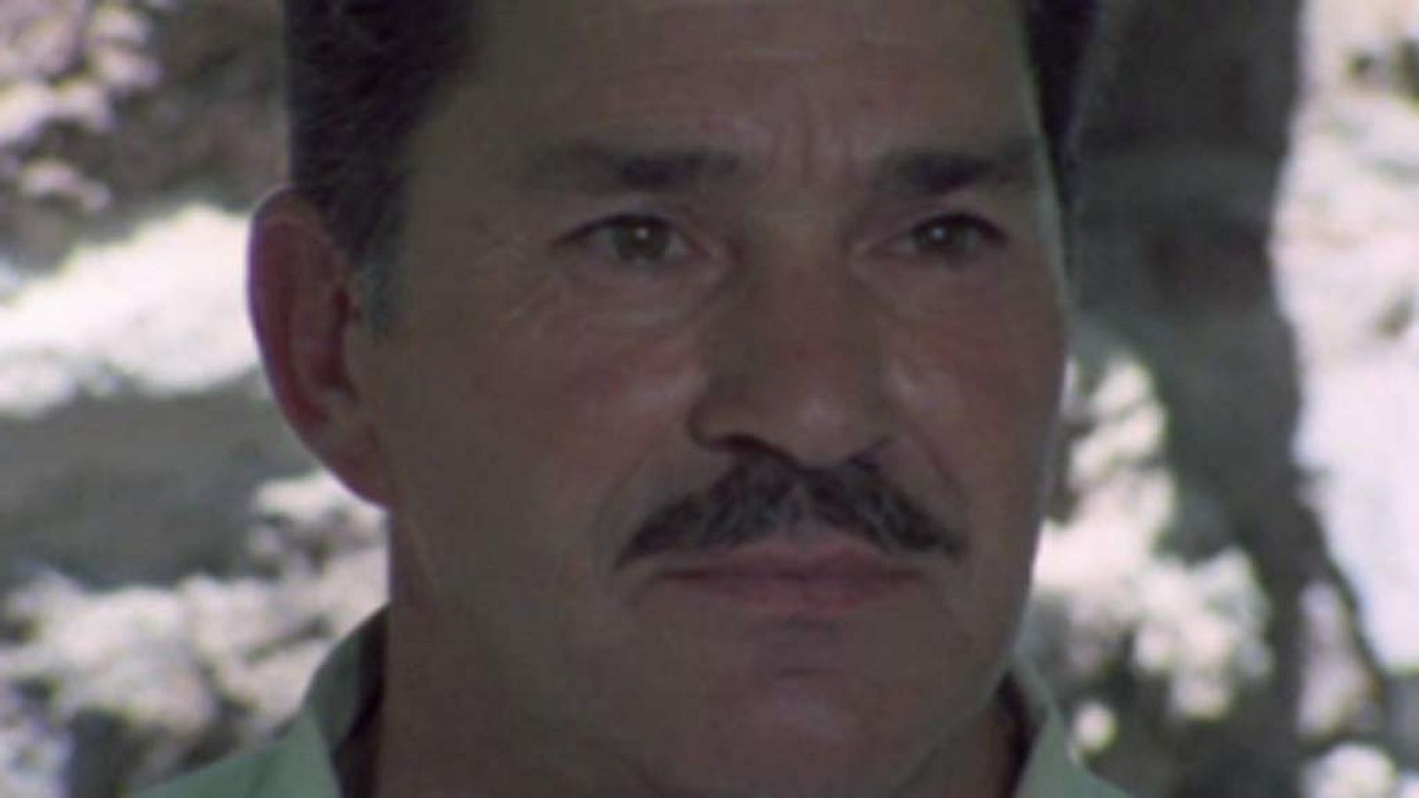 Raíces - Uso nuevo en tierra vieja (I)