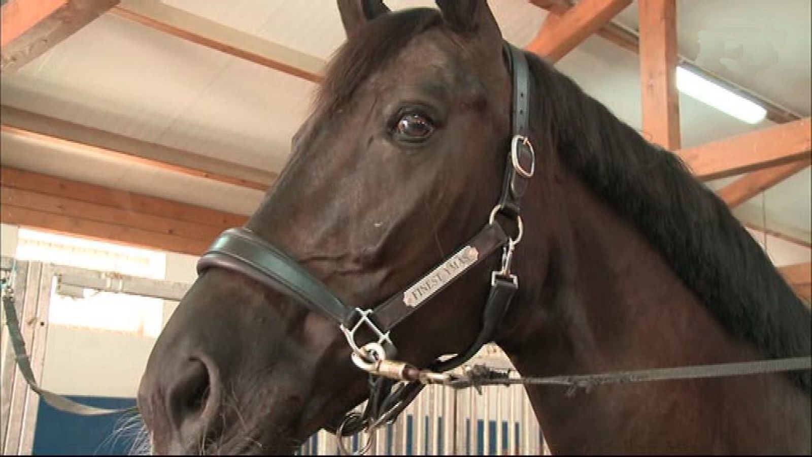 Hípica - Campeonato de España Absoluto Doma Clásica desde Segovia - ver ahora