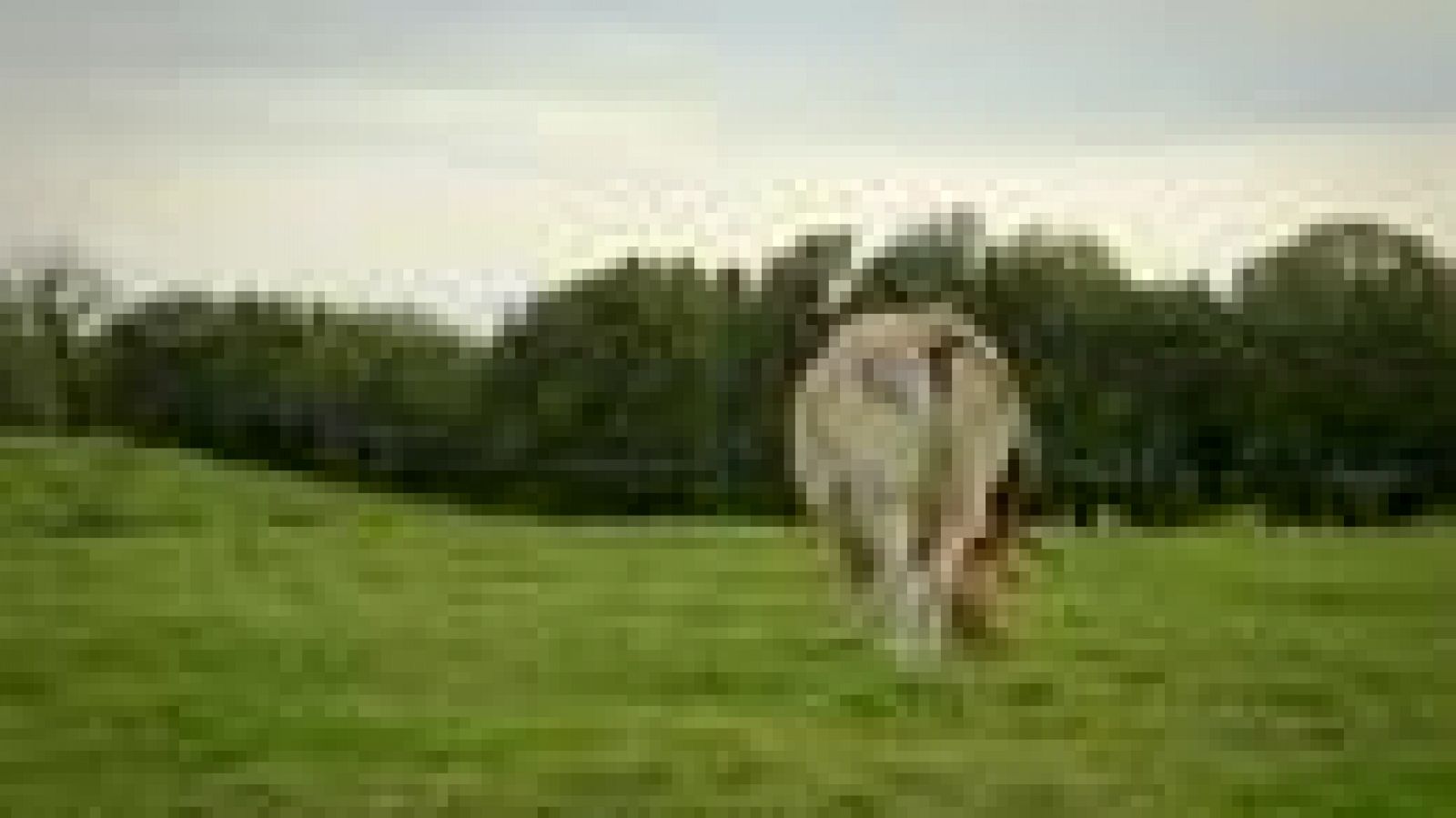 Los mejores momentos de 'El paisano' en el pueblo asturano de Tazones