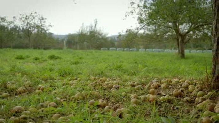 El paisano - Los mejores momentos de 'El paisano' en el pueblo asturano de Tazones