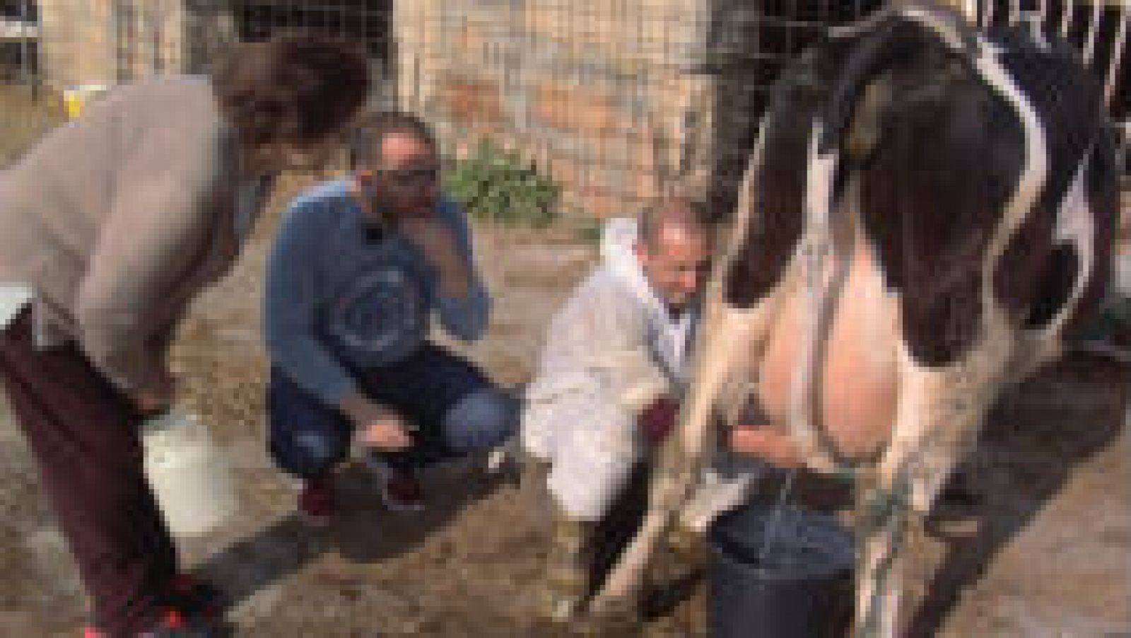 Con la leche, nada se deja al azar