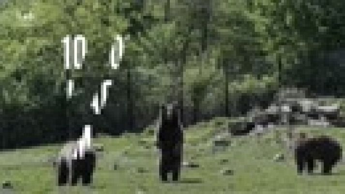 LAB RTVE - 10 consejos para hacer un mundo más sostenible