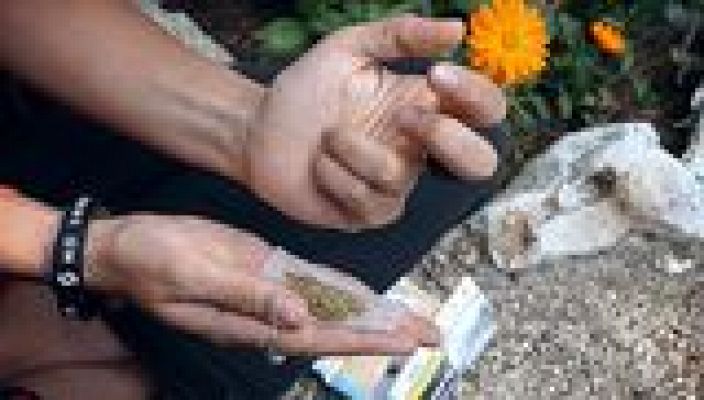 Universo UNED - Cannabis y adolescencia. Retos y avances