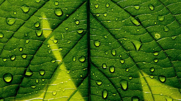 El tiempo - Chubascos y tormentas localmente fuertes y con granizo en el oeste de Castilla y León y sureste de Galicia
