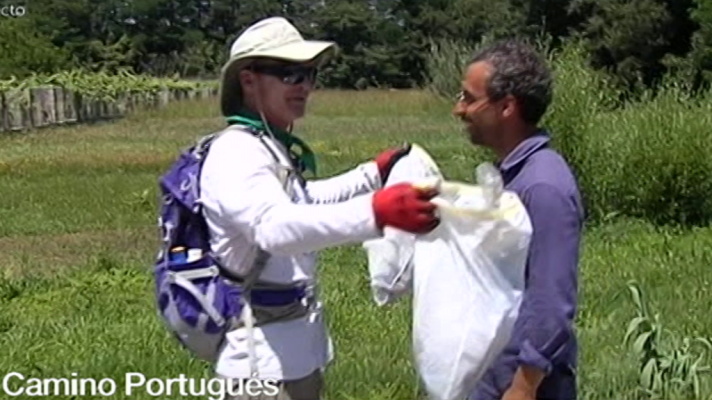 España Directo - España Directo - 20/06/18