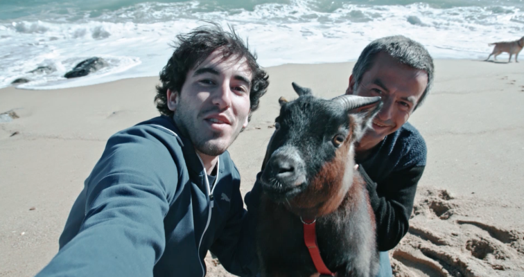 La meva mascota i jo - La rehabilitació dels primats maltractats a la Fundació Mona