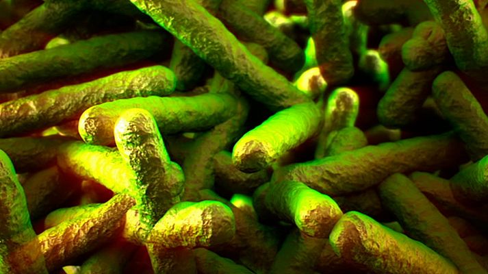 Saber vivir - Saber vivir - 21/06/18