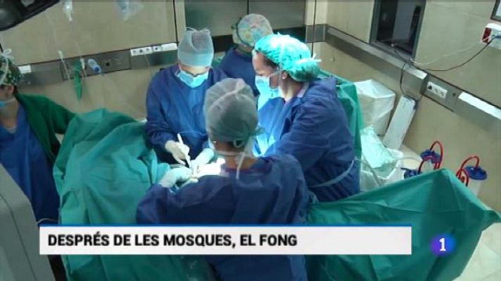 Informatiu Balear - Informatiu Balear 2 - 21/06/18