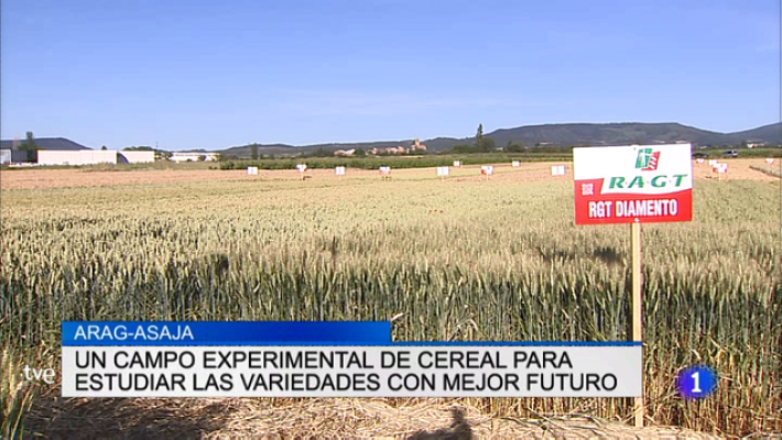 Informativo Telerioja - Informativo Telerioja - 21/06/18