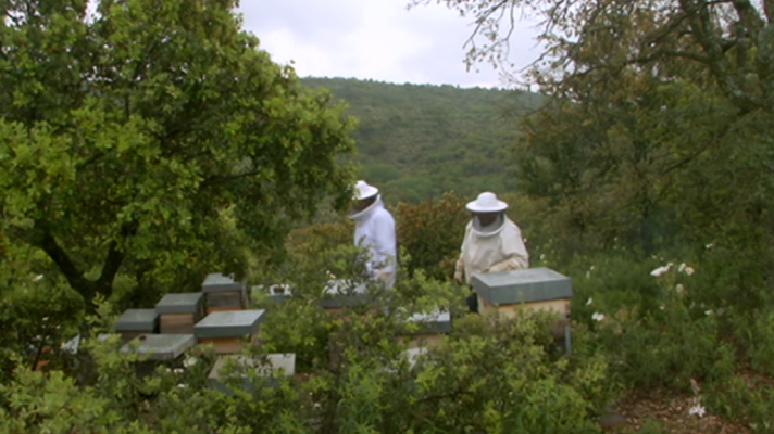 Aquí la Tierra - 22/06/18       