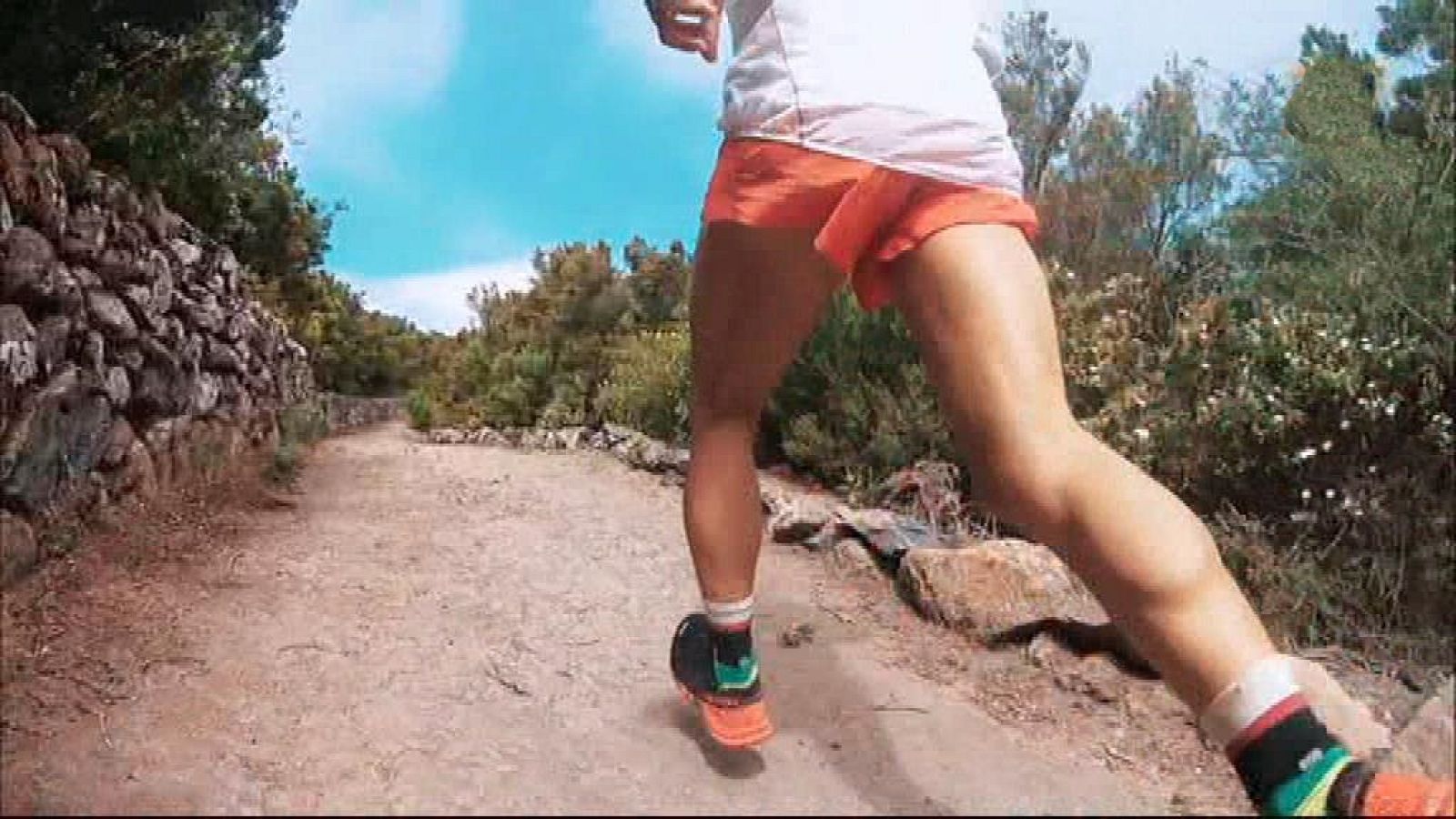 Evasión - T6 - Programa 12 - ver ahora