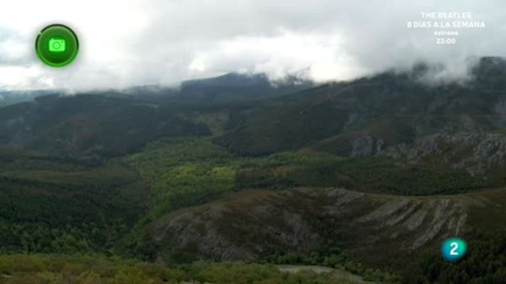 Agrosfera - Monsagro