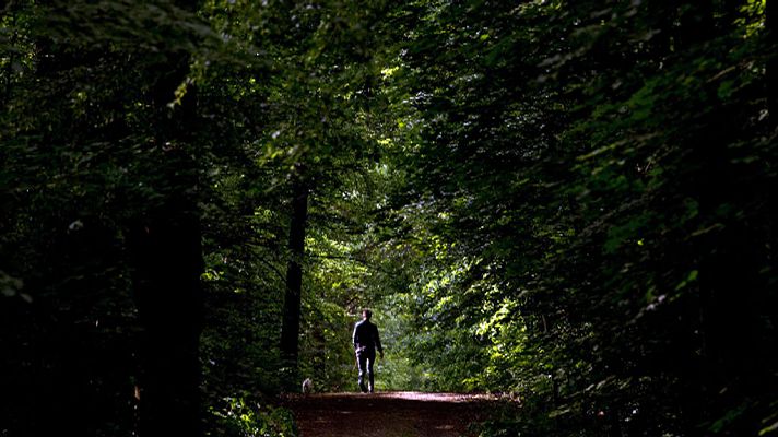 El tiempo - Chubascos que pueden ser localmente fuertes y acompañados de tormenta y granizo en puntos del norte de Castilla y León y del sistema Ibérico