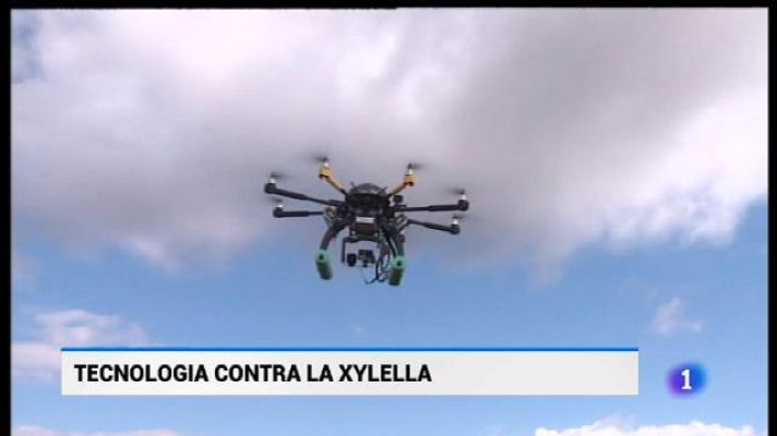 Informatiu Balear - Informatiu Balear - 26/06/18