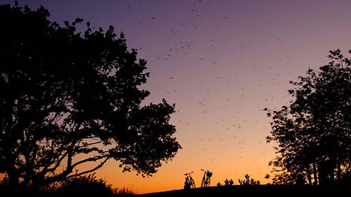 Informativo de Madrid - El Tiempo en la Comunidad de Madrid - 27/06/18