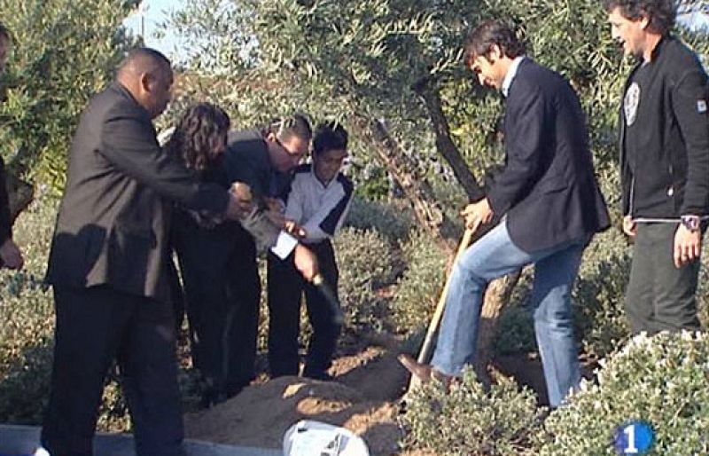 Vicente Boluda y Raúl González han plantado un olivo en la ciudad deportiva del Madrid. 