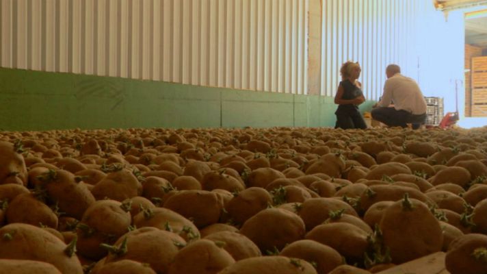 Aquí la Tierra - ¡Unas patatas de renombre!
