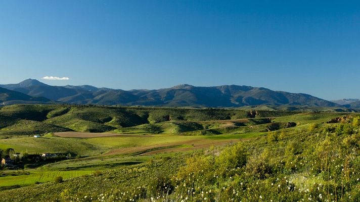 Informativo de Madrid - El Tiempo en la Comunidad de Madrid - 28/06/18