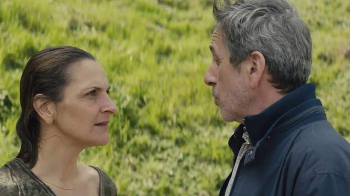 Días de cine - Los perros