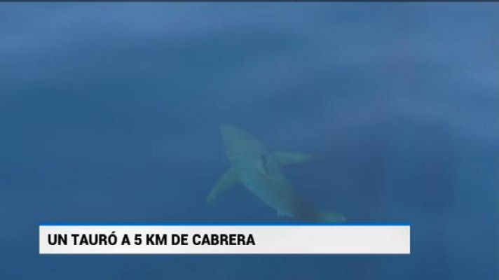 Informatiu Balear - Informatiu Balear en 2' - 29/06/18